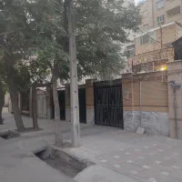 مشارکت/جلال قبل فرهنگ/پروانه/شعرباف