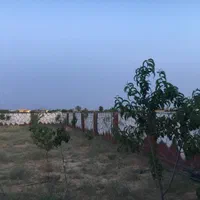 زمین ۵۱۶ متری سرمایه گزاری درخت کاری ساخت ساز|فروش زمین و ملک کلنگی|مشهد, خین عرب|دیوار