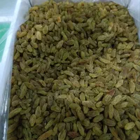 کشمش کاشمر(ترشیز) درصد بالا|خوردنی و آشامیدنی|کاشمر, |دیوار