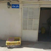 کود کبک|خدمات باغبانی و درختکاری|یزد, |دیوار