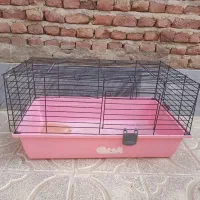 خرگوش|موش و خرگوش|بناب, |دیوار