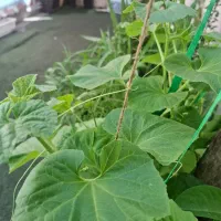 استخدام منشی نیمه وقت