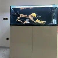 فروش اکواریوم apaسایز ۱۲۰*در ارتفاع ۵۰ عرض ۶۰