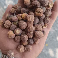 خرید و فروش انجیر ضایعات