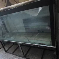 اکواریوم|ماهی|فردیس, شهرک شهید حسینی|دیوار