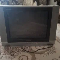 تلوزیون