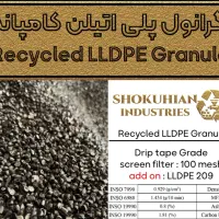 گرانول نوار تیپ خالص، توری دولا ۱۰۰