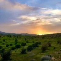 فروش باغشهری