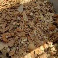 نون خشک فرداعلاتمیز|لوازم جانبی حیوانات|رضویه, |دیوار