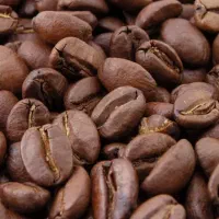 فروش عمده قهوه