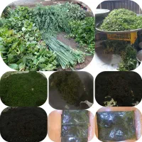 سبزی خورشتی خوزستان