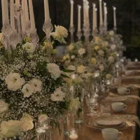 تشریفات مجالس بزرگ سهند|خدمات پذیرایی، مراسم|شیراز, شهرک گلستان شمالی|دیوار