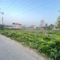 فروش زمین مسکونی سند تک برگ|فروش زمین و ملک کلنگی|شاندرمن, |دیوار