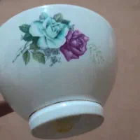 چینی|ظروف سرو و پذیرایی|بندر ماهشهر, |دیوار