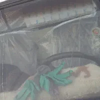 پیکان مدل ۸۹|خودرو سواری و وانت|کهنوج, |دیوار