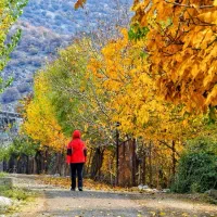 خدمات نظافتی الماس شرق