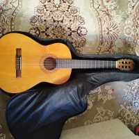 گیتار حرفه ای و با کیفیت متاع پور نو