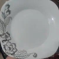 سرویس چینی|ظروف سرو و پذیرایی|رشت, کوی فکوری|دیوار