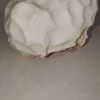 یک عدد سنگ راف به وزن بالای 1کیلو ونیم