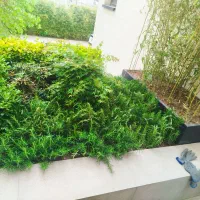 خدمات باغبانی تعویض خاک گلدان کاشت گل باغبان سمپاش|خدمات باغبانی و درختکاری|تهران, نیروی هوایی (پیروزی)|دیوار
