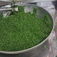 سبزیجات آماده