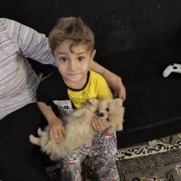 سگ پامر 3ماهه رنگ کاراملی بسیار بازیگوش|سگ|ورامین, ورامین|دیوار