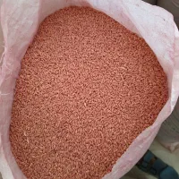 فردش بذر گندم