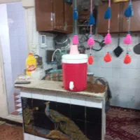 فروش خانه کلنگی. بیست متری شهرداری روبروی آسیاباد|فروش زمین و ملک کلنگی|اهواز, بیست متری شهرداری|دیوار