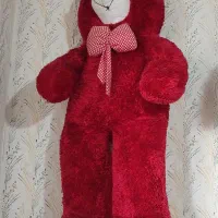 نو و درحد نو