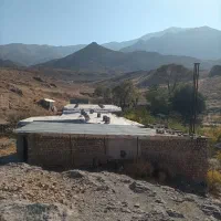 فروش دامداری