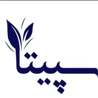 راننده با ماشین