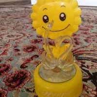 کوتوله ماده