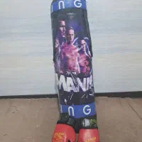 کیسه بوکس بادستکش