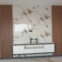 تی وی والT V WAL