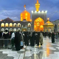 مشهد مقدس و شمال گردی ،همکاری