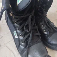 نیم بوت|کیف، کفش، کمربند|گرگان, |دیوار