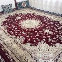 فرش دوازده متری|فرش|تایباد, |دیوار