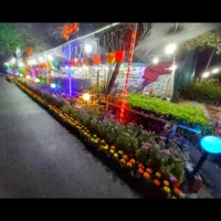 واگذاری گلخانه|فروش مغازه و غرفه|داراب, |دیوار