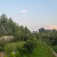 همکاری با باغبان حرفه‌ای