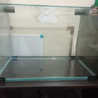 اکواریوم شیشه خم