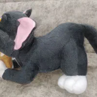 عروسک|اسباب‌بازی بچه|پرند, فاز ۶|دیوار