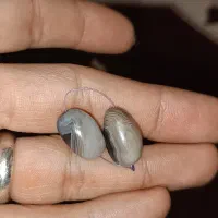 حراج پنج جفت مـهره|حراج|اهواز, کمپلو جنوبی|دیوار