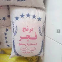 برنج فجر و چمپا زیر قیمت