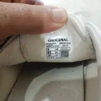 کفش سفید|کیف، کفش، کمربند|بجنورد, |دیوار