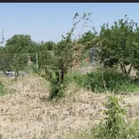 زمین باغ|فروش زمین و ملک کلنگی|شوشتر, |دیوار