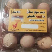 تخم مرغ رسمی