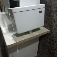 یک عدد فلاشتانگ کامل نو