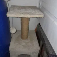 خانه پت گربه