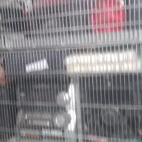 تعدادضبطصوت‌