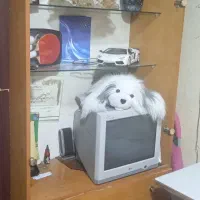 کمد  ام دی اف جنس  محکم|جاکفشی، کمد، دراور|تربت‌حیدریه, یحیی آباد|دیوار